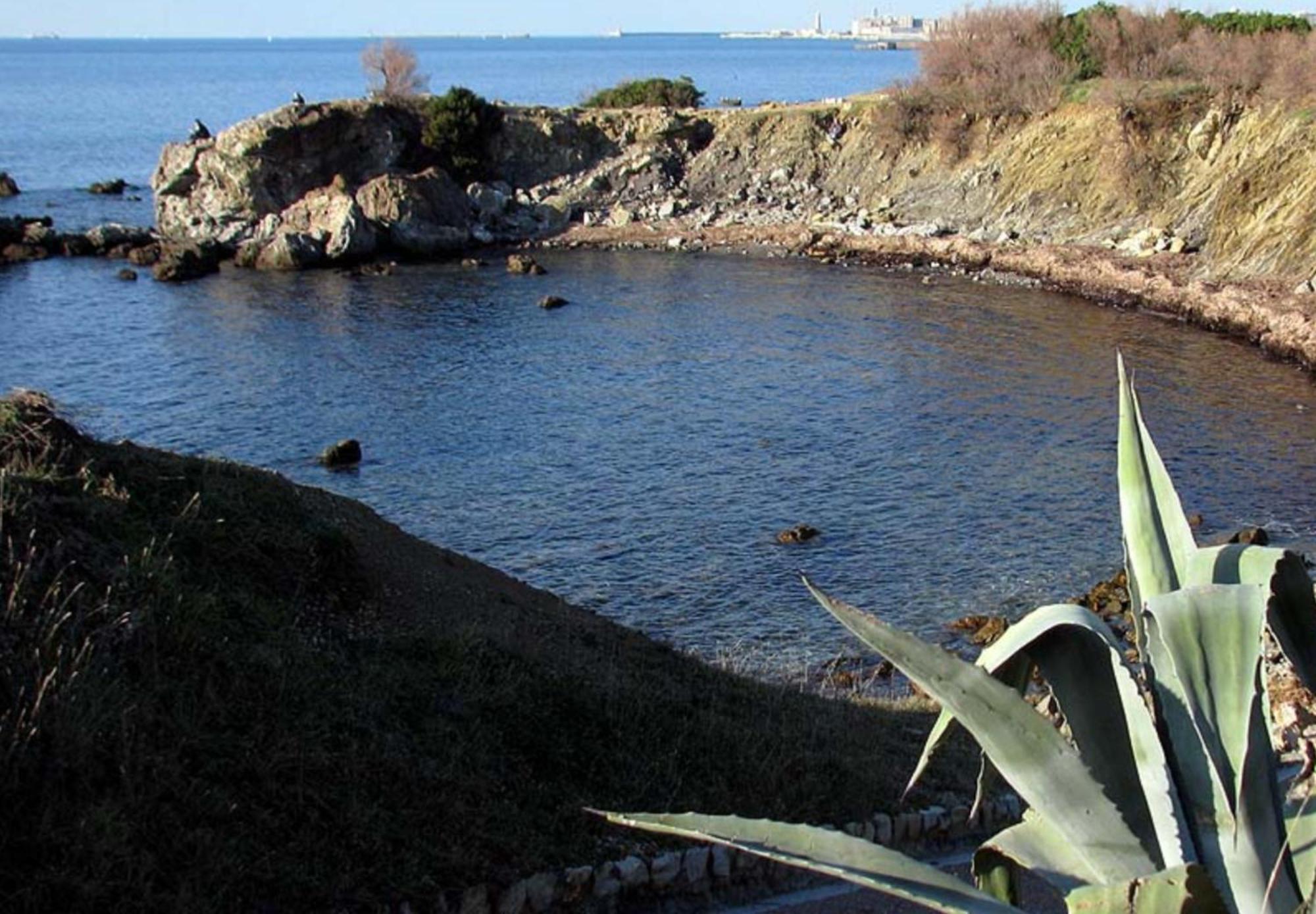 Casa Sandra Appartamento A 100 Mt Dal Mare Livorno Exterior photo